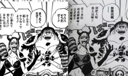 海贼王罗宾漫画,揭开历史之迷的冒险之旅